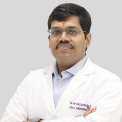 Dr. Basava Malleswara Rao V
